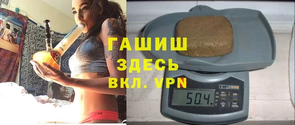 шишки Бородино