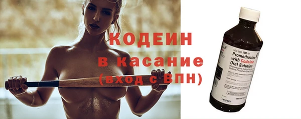шишки Бородино