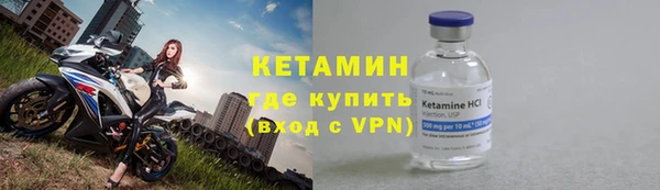 шишки Бородино