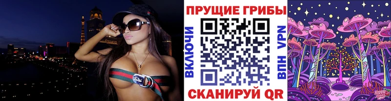 blacksprut зеркало  Белореченск  Галлюциногенные грибы Psilocybine cubensis 